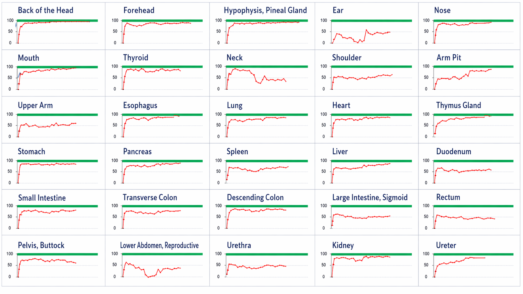 Biopulsar Reflexograph - Aura, Chakra, Organ Biofeedback Complete Package