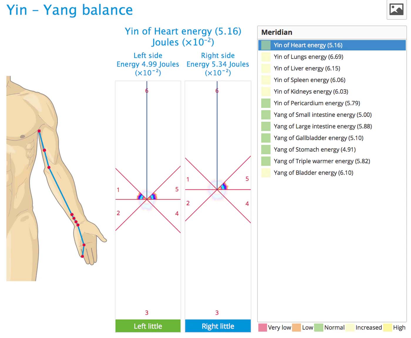 Bio-Well 3.0 Energy Monitoring Device