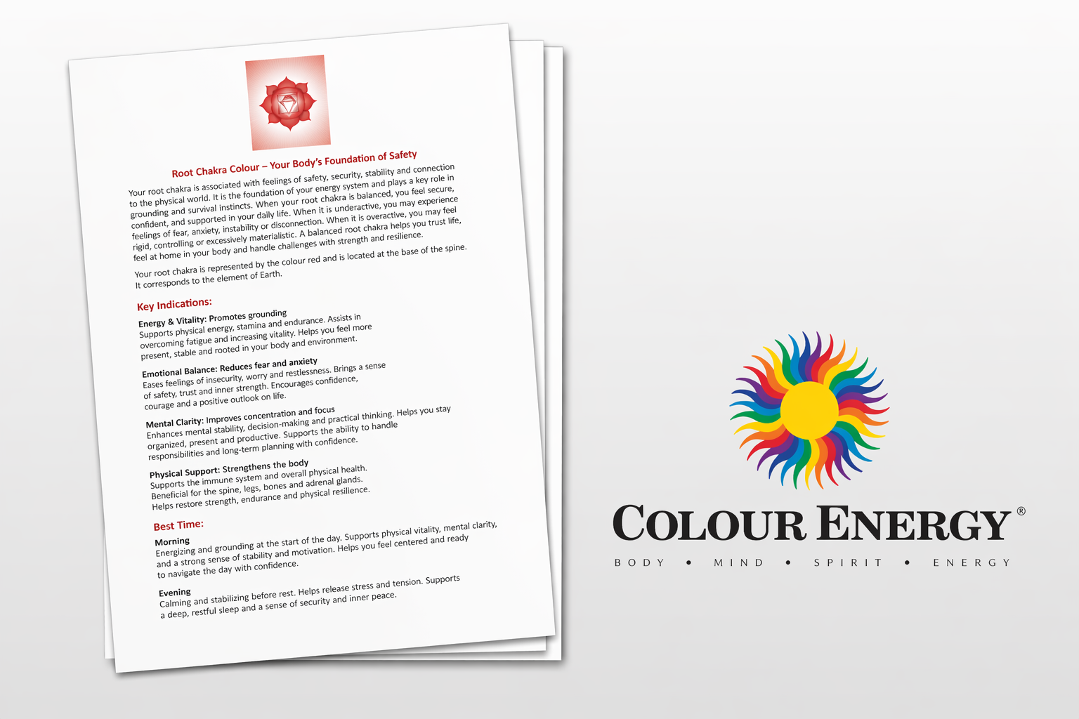 Biopulsar Reflexograph - Aura, Chakra, Organ Biofeedback Complete Package