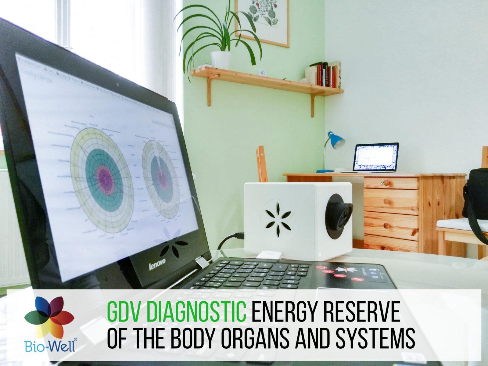 Bio-Well 3.0 Device New 2023 Model + Private Advanced Level 1 Certification Training (12 hours) - Gaia Healers