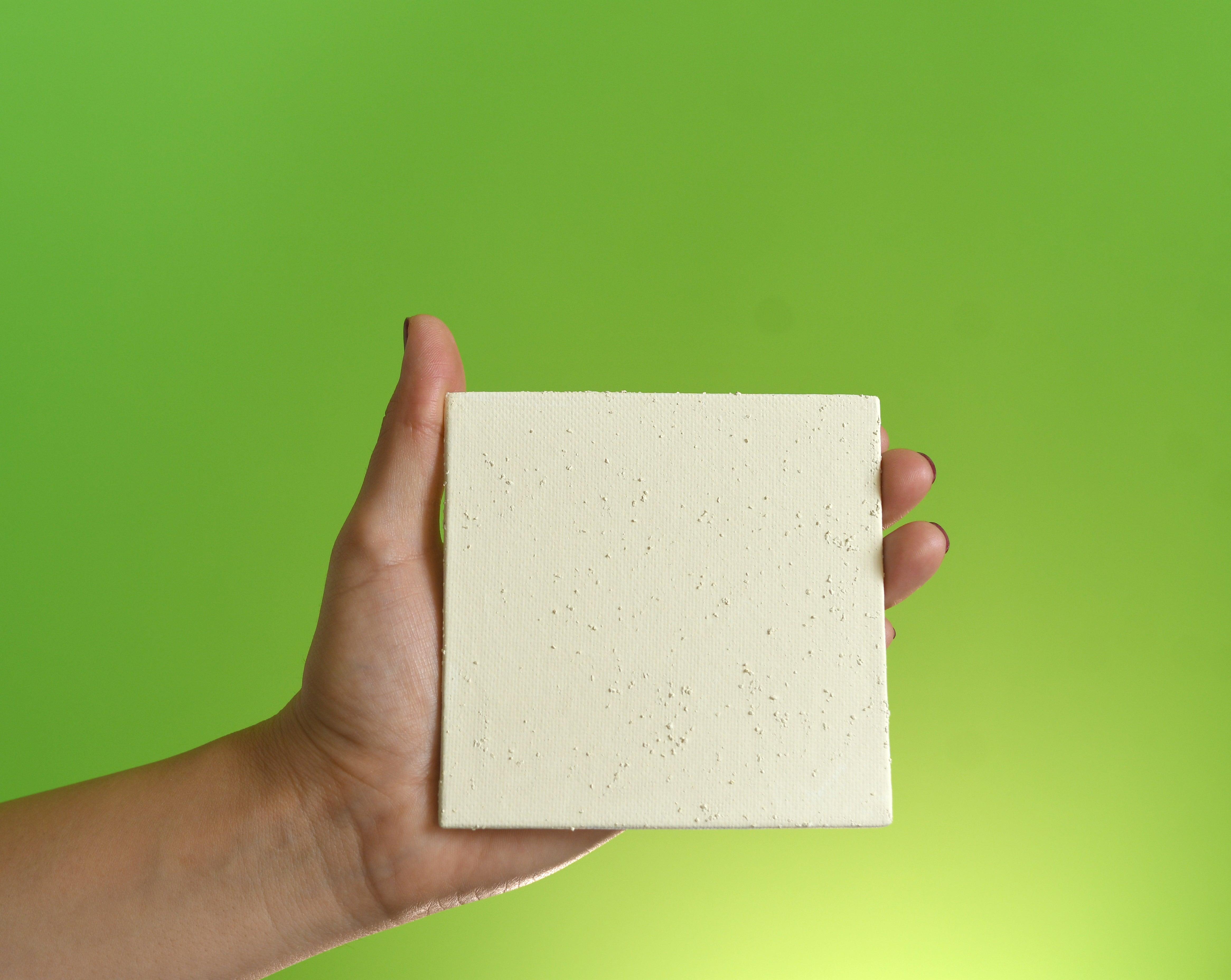 Tachyon Plate Natural Pain Relief