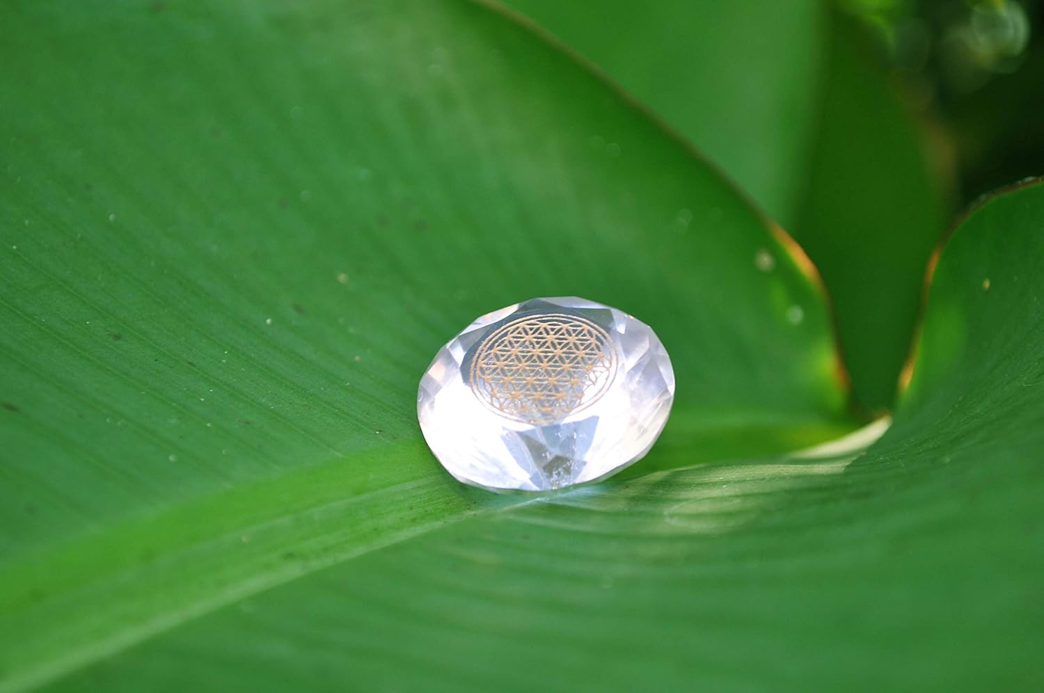 Crystal Quartz High Frequency Charged & Enhanced with Biophotons Meditation 18K Gold Flower of Life